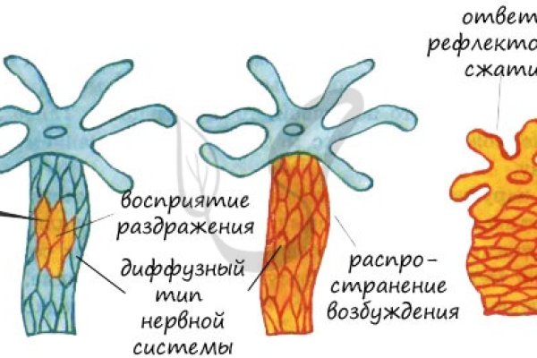 Kraken ссылка на сайт