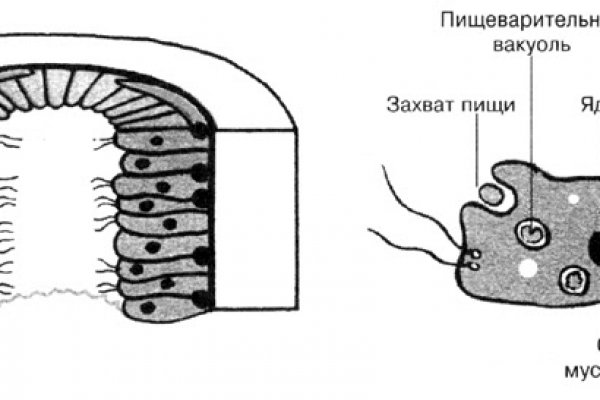 Рабочее зеркало мега