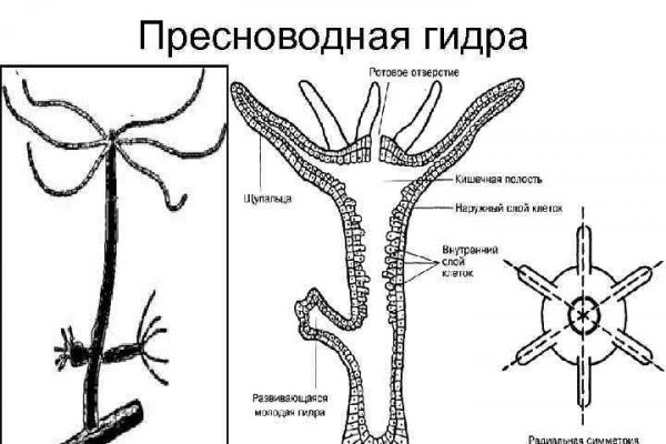 Omg omgruzxpnew4af union ссылка